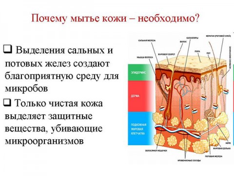 Чому мило клеїться і прилипає до пальців?