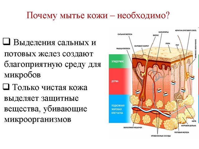 Мыло справляется с загрязнениями за счет содержания в нем щелочи, которая нейтрализует жир и иные загрязнения. Щелочь вступает в реакцию с солями загрязнений, во время химической реакции, мыло меняет поверхностное натяжение воды, образуются отрицательно заряженные ионы, которые отскакивают от очищаемой поверхности.